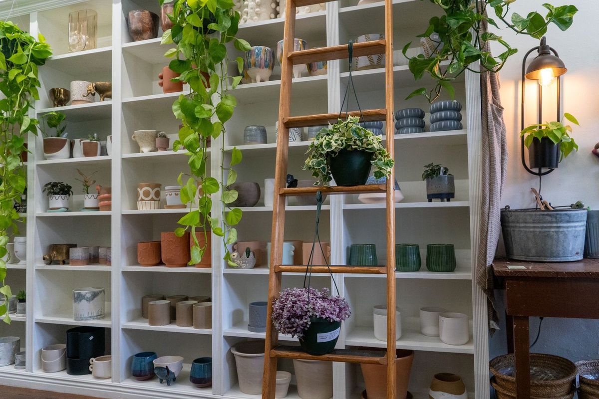 Shelves of ceramic planters, pots and trailing plants in a home decor shop